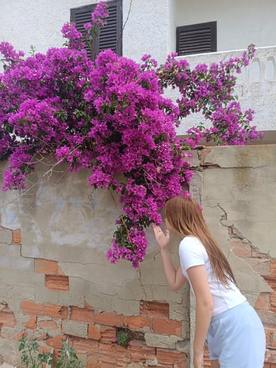 A young woman with long, reddish-brown hair, wearing a white t-shirt and light blue shorts, is shown from the side in a medium shot. She is leaning forward, her right hand raised near her face as if smelling the vibrant purple bougainvillea flowers that are cascading down a weathered brick and concrete wall. The flowers are the dominant visual element, filling the upper left and center portions of the frame.
The wall itself is in a state of disrepair, with exposed red bricks and cracked concrete, suggesting an outdoor setting, possibly in a Mediterranean climate given the bougainvillea. In the background, a white building with dark louvered shutters is visible, hinting at residential architecture. The lighting suggests it is daytime, with no strong shadows indicating a bright, possibly sunny, but not harsh light. The overall mood is serene and appreciative of nature.
The scene appears to be set in Almardà, Spain, as indicated by the typical architecture and flora found in this region. There is no visible text in the image. The woman's posture and the gesture of smelling the flowers convey a sense of calm and connection with the natural beauty surrounding her.