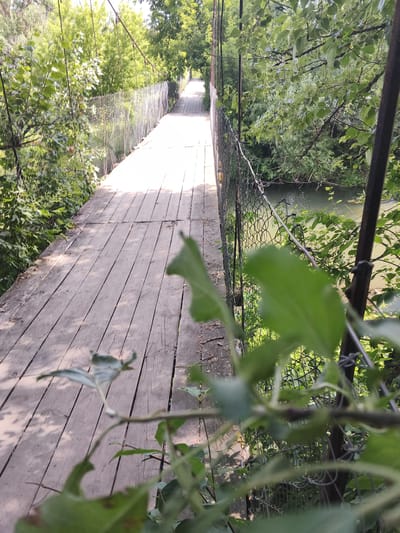 The image depicts a rustic wooden suspension bridge spanning a narrow, murky body of water, likely a river or creek, in the village of Mokshan, Russia. The bridge is constructed with weathered wooden planks and is flanked by a chain-link fence on both sides. Lush green foliage from trees and bushes crowds the banks of the waterway and drapes over the bridge's railings, with some leaves and branches obscuring parts of the view. Sunlight filters through the trees, casting dappled shadows on the bridge's surface. The perspective is from the perspective of someone standing on the bridge, looking forward along its length as it recedes into the distance, disappearing around a bend or behind more trees. The overall impression is one of natural overgrowth and a somewhat neglected, yet charming, rural setting.