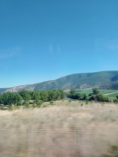 The image depicts a wide-angle landscape scene with a clear blue sky dominating the upper portion. Below the sky is a sloping, green-covered mountain range with visible patches of dry vegetation and scattered trees. In the middle ground, a dense line of lush green trees runs horizontally across the frame, with a small body of water or river visible behind them. Beyond the trees, agricultural fields, also green, stretch towards the base of the mountains, with a white path or road bisecting them. The foreground is a blurred expanse of dry, golden-brown grass, suggesting movement or a long exposure from a moving vehicle. The image was captured in Piniada, Greece. There are no people or specific actions depicted in the scene.