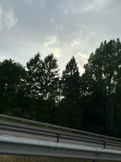 The image depicts a view from a roadside in Fjärås, Sweden, looking towards a dense line of trees silhouetted against a cloudy sky. In the foreground, a metal guardrail runs horizontally across the frame, suggesting the presence of a road or highway. The trees appear to be a mix of coniferous and deciduous varieties, with the darker foliage contrasting with the lighter sky. The overall impression is one of a natural landscape bordering a transportation route. There are no people or animals visible in the scene.