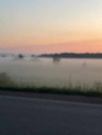 The image depicts a hazy landscape at dawn or dusk, with a gradient of soft colors in the sky ranging from pale blue to peach. A dark, blurry line of trees or land is visible in the middle ground, separated from the foreground by a misty expanse. The foreground consists of a dark, blurred road or paved surface, with a thin strip of dark green foliage above it. The overall impression is one of a quiet, atmospheric natural setting, possibly near a body of water due to the mist. There are no discernible people, animals, or specific structures. The location in Uba, Russia is not identifiable from the visual information provided.
