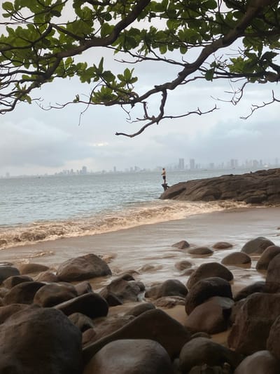 The image depicts a coastal scene in Sơn Trà Ward, Vietnam, under an overcast sky. The foreground features numerous smooth, dark-toned rocks scattered across a sandy beach, with some appearing wet from the receding tide. A solitary individual, identified as male, stands on a dark rock outcrop within the ocean's shallow waters, holding a fishing rod with the line cast into the water. Gentle, brownish-foamed waves break upon the shore, meeting the sand. The ocean extends towards a distant cityscape characterized by numerous high-rise buildings. The upper portion of the frame is filled with the dark, gnarled branches and green leaves of an overhead tree. Several small vessels are visible on the water near the distant horizon.