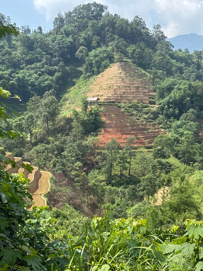 The image depicts a terraced hillside in the Hoàng Su Phì Commune, Vietnam. The terraced fields are primarily bare earth, segmented by raised rows. A small structure, possibly a hut, is located partway up the terraced area. The hillside is surrounded by dense green vegetation, including trees and various foliage. Another tier of terraced fields is visible in the lower right of the image, these contain water or some sort of reflective substance. There are clouds and trees in the background.