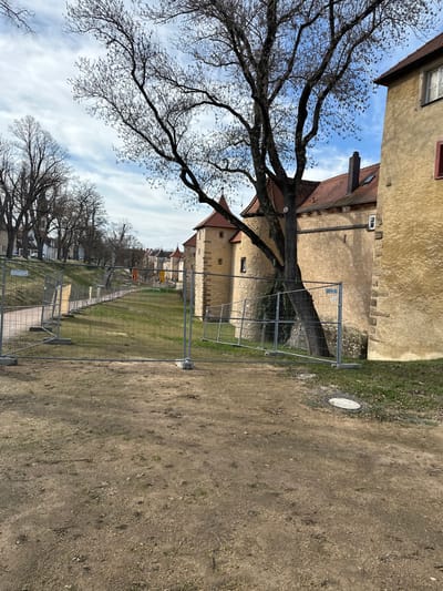 The image captures a daytime scene in Weißenburg in Bayern, Germany, showcasing a section of the city's historic fortifications. In the immediate foreground, the ground consists of dry, compacted brown earth with scattered patches of green vegetation. A circular utility cover is visible on the ground in the lower right quadrant. A temporary barrier of gray metal mesh fencing, supported by concrete base blocks, extends horizontally across the mid-ground, separating the earthen area from a rising grassy embankment. A paved pathway runs parallel to this fence along the left side of the grassy section.
On the right side of the scene, behind the fence and grass, a series of ancient city wall structures and defensive towers are prominent. These structures are constructed from yellowish-ochre stone or stucco, and the towers are characterized by conical red-tiled roofs. A large, mature deciduous tree, currently devoid of leaves, stands centrally in the mid-right, its bare branches extending upwards and partially obscuring the historical architecture. Further along the fortifications, more towers with red roofs are visible.
To the far left of the image, beyond the grassy embankment and path, a line of additional bare-branched deciduous trees marks what appears to be a street or park area, with indistinct residential-style buildings partially visible behind them. The sky overhead is partly cloudy, displaying patches of blue amidst white clouds. The scene is devoid of any individuals, animals, or active human interactions.