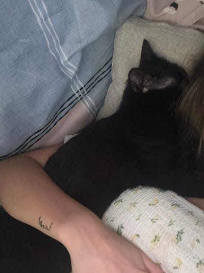 A close-up, overhead shot shows a person's arm with a tattoo on the inner wrist, resting against a white, floral-patterned fabric. To the right, a black cat is curled up, nestled against a textured pillow and a person's shoulder. The background is filled with blue fabric with white stripes. The setting appears to be a domestic indoor environment, possibly a bedroom, and there is no indication of the city of Ratsada, Thailand.