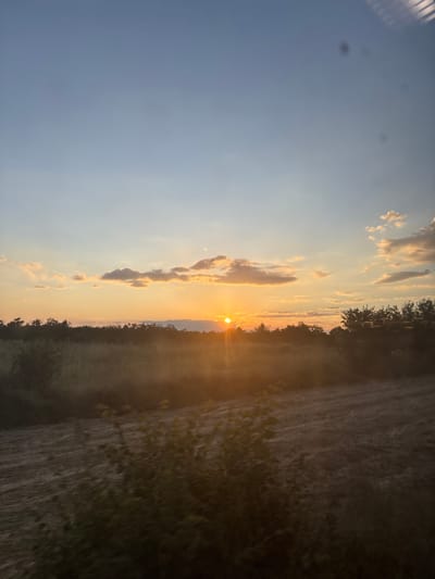 The image displays a rural sunset landscape in Tsar Asen, Bulgaria. The sky transitions from a pale blue at the top to vivid orange, yellow, and amber tones near the horizon. Scattered cumulus clouds are visible, illuminated from below by the low sun, exhibiting warm, golden-orange hues. The sun, a bright and intense orb, is positioned slightly left of the image center, partially obscured by distant foliage, and generates a prominent light flare extending into the foreground.
A dark, dense line of trees and shrubbery forms the distant horizon. Below this, the midground consists of a field or open area bathed in the sun's warm light, creating an atmospheric haze and highlighting the texture of low-lying vegetation. The immediate foreground features a cultivated or dry grassland area with visible stubble or irregular patterns, accompanied by blurred dark green foliage at the bottom of the frame, suggesting movement during capture.
Several dark, circular artifacts, consistent with lens dust or window smudges, are present in the upper portion of the sky. A faint, grid-like reflection is also discernable in the top right corner, indicating the image was likely captured through a pane of glass or a reflective surface. No individuals or animals are visible within the scene.
