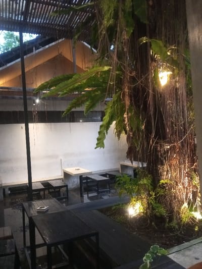 The image displays an unoccupied outdoor seating area within the city of Pontianak, Indonesia, under low light conditions, indicative of evening or night. The scene is dominated by a large tree on the right, featuring extensive aerial roots and broad green leaves, illuminated by multiple yellow ground spotlights. The ground around the tree consists of dark wooden decking. To the left and center, multiple seating arrangements are visible, comprising black metal tables and benches, some with wet surfaces, and concrete benches topped with light-colored slabs positioned against a white wall. An ashtray is present on one of the black tables. Overhead, a slatted wooden pergola structure is visible, with finer roots or vines descending. The gabled roof of a light-colored building is partially visible in the upper background. No individuals, actions, or interactions are depicted.