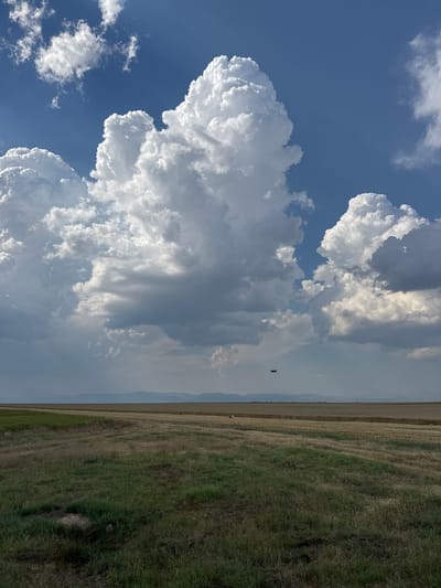 The image depicts a vast, open landscape under a dramatic sky. The scene is dominated by a towering cumulus cloud formation that spans a significant portion of the left side of the frame, illuminated by sunlight that creates stark contrasts between bright white and deep gray shadows. The sky above is a clear, vibrant blue, with smaller, wispy clouds scattered in the upper left corner.
To the right of the clouds, the landscape transitions into a cultivated field. The field appears to be either harvested or planted with a dry crop, exhibiting shades of tan and yellow, bordered by a strip of greener, taller grass. In the distance, a faint, hazy line suggests mountains or hills under a pale sky, indicating a wide, open geographical area.
There are two small, dark objects visible in the sky over the field, possibly birds or an aircraft, though their detail is minimal. Further down in the grassy area, a small dark object can be seen, its nature unclear from the image. The lighting suggests it is daytime, likely late afternoon or early evening, given the quality of light and the presence of dramatic cloud formations. The overall mood is one of natural grandeur and peaceful isolation. No text is visible in the image.