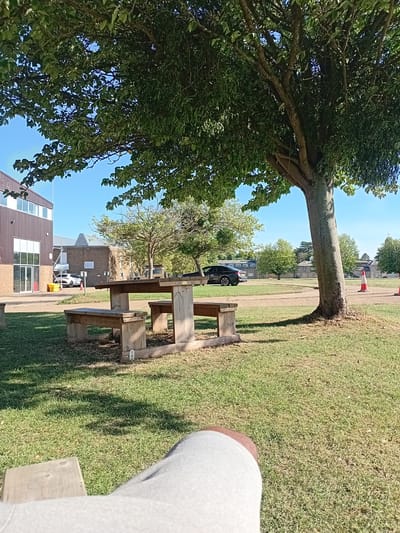 The image depicts an outdoor scene on a sunny day, with a focus on a wooden picnic table and benches situated on a grassy lawn under the shade of a large tree. In the background, a modern building with a brown facade and large windows is visible, along with other structures and trees. A black car and a white car are parked in the distance. Orange and white traffic cones are placed on the ground in the far background. The foreground shows a person's legs and lap, suggesting the viewer is seated and looking at the scene. The location is identified as Silsoe, United Kingdom. The overall environment is natural and somewhat institutional, with elements of recreation and architecture.