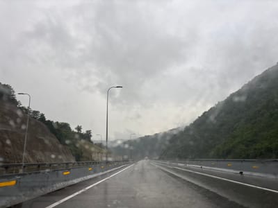 The image depicts a highway in Ubisa, Georgia, under overcast and rainy conditions. The road is wet, with visible raindrops on the camera lens. The highway has multiple lanes and is bordered by a concrete barrier with yellow reflective markers. On the left side, a steep, rocky embankment covered in some vegetation rises alongside the road, with a lamppost visible. On the right, a dense, tree-covered mountainside slopes down towards the highway, partially obscured by fog or mist. In the distance, a red vehicle is seen traveling on the highway. The sky is heavily clouded, contributing to the overall dim and atmospheric mood of the scene.