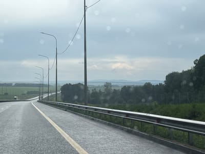 The image captures a perspective from inside a vehicle, looking out onto a wet highway or major road on an overcast day in what appears to be Александровское, Russia. The road surface is dark asphalt with a clear, solid yellow line marking the left edge of the lane, indicating a no-passing zone or shoulder. A metal guard rail runs along the right side of the road, separating it from a grassy verge and a dense line of trees beyond.
Numerous streetlights with curved arms are visible along both sides of the highway, receding into the distance. In the far distance on the left, a white semi-truck can be seen on the opposing side of the road, suggesting a divided highway. The landscape beyond the road features vast green fields and patches of trees, with a range of hills or mountains faintly visible on the distant horizon under a cloudy, light gray sky. The general weather appears to be overcast, and the wet road surface, along with several out-of-focus light specks (likely raindrops or water droplets on a window/lens), suggests recent or ongoing rain. The scene evokes a sense of journey and the expansive, rural environment common to such regions. There is no visible text in the image.