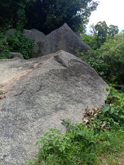The image depicts a natural landscape featuring large, grey granite boulders amidst lush green vegetation and trees under an overcast sky. In the foreground, a large, textured boulder dominates the lower portion of the frame. To its right and behind, smaller boulders and dense foliage are visible. To the left, more boulders and a thick growth of vines ascend. In the background, the tops of trees and the sky are visible. The scene appears to be situated in a rural or natural area, possibly Rinjim Gani, Nigeria, given the vegetation and rock formations. There are no people or animals present in the image. The lighting suggests it is daytime, with diffused light due to the cloudy conditions.