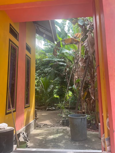 The image depicts a view from a doorway or opening looking out into a yard filled with lush vegetation, including large banana plants and palm trees. The foreground features a portion of a building with bright yellow and pink painted walls. A large, gray plastic trash bin stands in the center of the yard. In the background, dense greenery and the sky are visible. The scene is well-lit by natural sunlight. The location is identified as Matangwakeuh, Indonesia.
