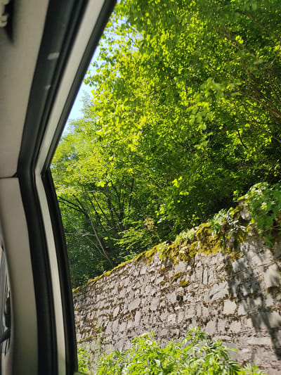 The image is a view from inside a vehicle looking out a partially open window. The foreground is dominated by the interior of the vehicle, with the edge of the door frame visible on the left. Beyond the window, a stone wall covered in moss and vegetation runs diagonally across the frame from the lower right to the upper left. Above the wall, lush green trees with dense foliage fill the upper portion of the image. The sky is visible in patches through the leaves, appearing bright blue. The scene suggests a natural environment, possibly a rural or mountainous area, with signs of age on the stone wall. Based on the provided location, this scene is likely captured on a road or path in the vicinity of Golyamo Belovo, Bulgaria, where such natural landscapes and architectural features are common. No people are visible in the image.