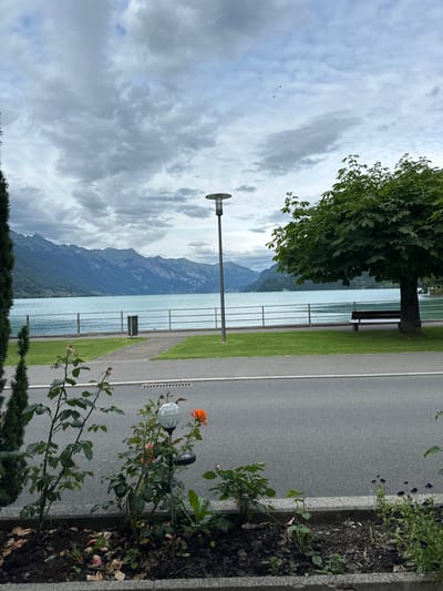 The image captures a scenic view of Lake Brienz in Bönigen, Switzerland, on an overcast day. In the foreground, a flowerbed contains rose bushes with an orange bloom and a solar-powered garden light. Adjacent to the flowerbed is an asphalt road. Beyond the road, a grassy area with a paved walkway leads to a metal fence overlooking the lake. A metal trash receptacle is visible near the fence. Across the tranquil, turquoise lake, a range of majestic mountains forms the background. A large tree with lush green foliage stands to the right, near a park bench. A solitary lamppost is positioned near the lake's edge. The sky is filled with dramatic, grey clouds. The overall scene depicts a serene lakeside environment in a mountainous region.