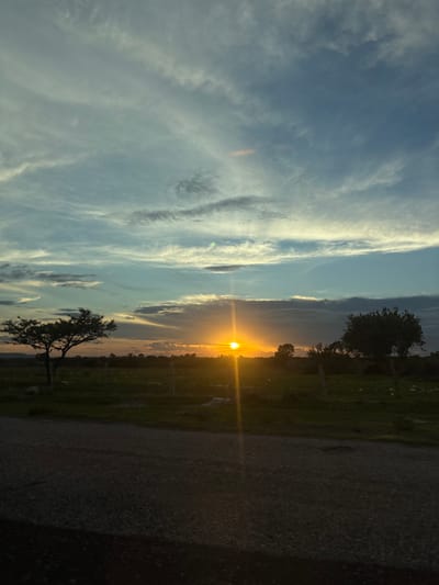The image depicts a rural landscape at sunset. The sky is a gradient of blues and grays, with thin, wispy clouds stretched across it. The sun, a bright orange orb, is low on the horizon, casting a warm glow and a lens flare effect. In the foreground, a dark, gravelly road runs horizontally across the bottom of the frame. Beyond the road, a grassy field extends towards the horizon, dotted with several trees. The trees are silhouetted against the bright sky, with one prominent tree on the left appearing somewhat sparse. A fence line is visible in the mid-ground. The overall scene conveys a sense of tranquility and the natural beauty of a sunset in an undeveloped area. The location in Unknown, Mexico, is implied by the context provided. There are no people or animals clearly visible in the image.