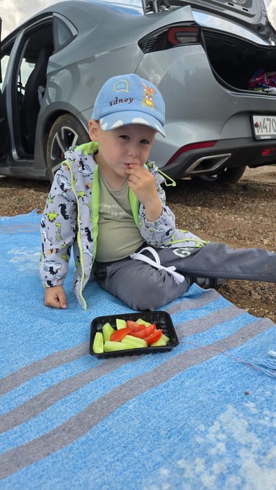 A young boy wearing a blue baseball cap with a cartoon bunny and the word "sdney" on it, a grey jacket with a dinosaur pattern and neon green trim, and grey sweatpants sits on a blue and grey striped blanket. He is eating from a black plastic container filled with sliced cucumbers and tomatoes. He is sitting in front of a grey car with its trunk open. The scene is outdoors, on what appears to be a gravelly area with some dirt. The sky is overcast. The location is Дарьино, Russia.