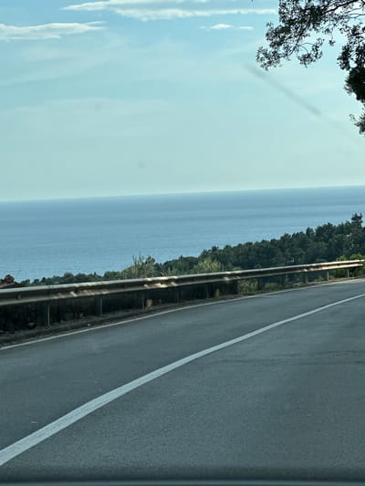 A photograph captures a scene from a road in Nerin, Montenegro. The image is vertically oriented. To the left, the serene expanse of the sea dominates the view, meeting a pale blue sky dotted with faint clouds. A line of trees lines the edge of the road and sea. To the right, the asphalt of the road stretches, marked by a white line, while a weathered metal guardrail separates the road from the sea. The perspective suggests a position within or beside a moving vehicle. In the upper left corner, a tree branch with foliage extends into the frame. The overall lighting is soft and diffused, lending the scene a calm and peaceful atmosphere.