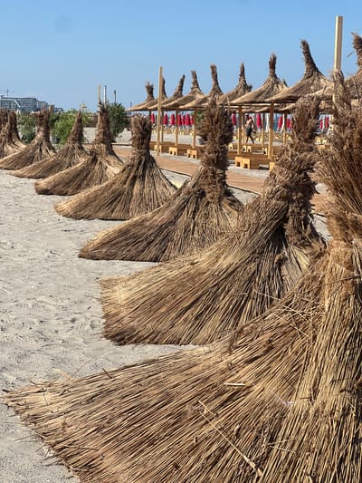 The image displays a row of thatched beach umbrellas on a sandy beach, with the Mediterranean Sea and a clear blue sky in the background. The umbrellas are made of natural reeds and are arranged in a line, suggesting a resort or public beach area. Wooden structures and red lounge chairs are visible underneath some of the umbrellas, indicating they are set up for use. A few people can be seen in the distance, enjoying the beach. The time of day appears to be midday, with bright sunlight casting shadows. The overall scene conveys a relaxed and summery atmosphere. There are no visible text elements in the image.