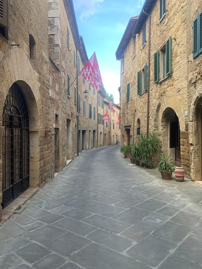 This media file captures a narrow, stone-paved alleyway in San Quirico d'Orcia, Italy. The buildings lining the alley are constructed from weathered, golden-hued stone, featuring numerous windows with green wooden shutters. Some windows are open, while others are closed. The architecture suggests an ancient European town.

The alley is sparsely decorated. Two flags, red and white with a repeating pattern of what appears to be a stylized crown, are strung across the upper portion of the alleyway, suggesting a local festival or celebration. Potted plants, including a tall, spiky green plant, are visible near arched doorways, adding a touch of life to the stone surroundings. The ground is paved with large, grey rectangular stones arranged in a diamond pattern, worn smooth by time and foot traffic.

The sky above is a bright, clear blue with a few wispy clouds, indicating a sunny day, likely midday or early afternoon. The lighting suggests fair weather. The overall atmosphere is one of historical charm and peacefulness, typical of a well-preserved Italian village. There are no people visible in the scene, emphasizing the quiet nature of the location. No visible text is present in the image.