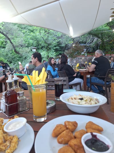 The scene is a restaurant in Milanovo, Bulgaria. Several people are seated at tables on a wooden deck, with a partial view of lush greenery in the background. A white canopy or awning covers the area.
On the table in the foreground, there's a glass of orange juice with a green straw, a metal holder with condiment bottles, and plates with food. One plate contains fried cheese triangles with a cup of blueberry jam. Another plate shows fried strips of food with a small bowl of white sauce. A bowl of salad with white dressing and black olives is visible.
People are seated at the tables, some appear to be eating or drinking, others are engaged in conversation or looking at their phones. One man with grey hair is seated wearing a black t-shirt, while another man is wearing a grey t-shirt and looking at a phone. The mood seems casual and relaxed, suggesting a leisurely meal at a local establishment.