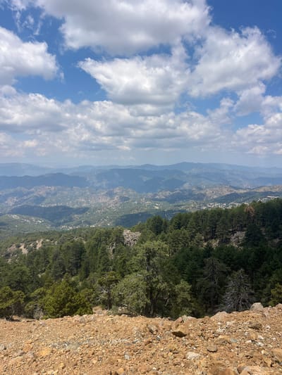 The image depicts a panoramic view from a high vantage point overlooking a mountainous landscape. The foreground is dominated by a rocky, brown terrain covered with loose stones and gravel. A dense forest of pine trees occupies the mid-ground, with varying shades of green and some dead, grey trees interspersed. Beyond the immediate forest, the landscape unfolds into a series of rolling hills and mountains that recede into the distance. The distant mountains are painted in soft blue and grey hues, suggesting a significant distance and atmospheric perspective. Scattered throughout the middle ground and further into the valleys, small settlements with white-roofed buildings are visible, indicating human habitation in the area. The sky above is a vibrant blue, filled with large, fluffy white cumulus clouds, casting shadows on the terrain below. The scene suggests a clear day with good visibility. The location is identified as Prodromos, Cyprus, a mountain village known for its scenic beauty and pine forests. There are no people or discernible actions in the image.