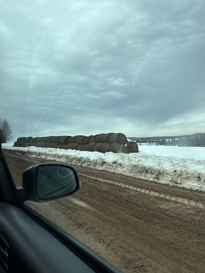 The image shows a scene from a car's perspective, likely on a rural road. A row of hay bales runs alongside the road, partially obscured by snow. Beyond the bales, a snow-covered field stretches towards a distant treeline. The road surface is muddy and shows tire tracks. The sky is overcast with light, streaky clouds. The car's side mirror is visible in the foreground, suggesting the photo was taken while driving. The location is reported to be in Малая Уса, Russia. There are no visible people in the image.