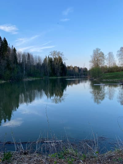 The image shows a symmetrical reflection of a landscape on a body of water. The scene includes trees, a pier, and a clear blue sky with wispy clouds reflected in the water. The right side of the image includes a bank with vegetation. The location is reported to be Баклуши, Russia. No people are visible.
