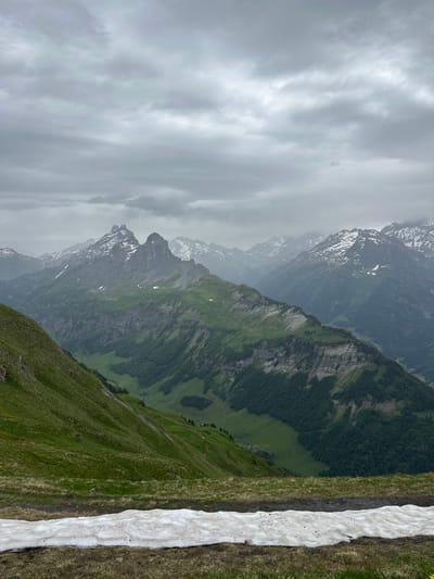 This is a wide, vertical, outdoor photograph taken from a high vantage point on a cloudy day. The foreground features a patch of melting snow on grassy terrain, with brown earth and sparse dry grass visible beneath it. The middle ground is dominated by a steep, green mountain slope with rocky outcrops and patches of dark green coniferous trees. Further back, a dramatic mountain range unfolds, with jagged, grey peaks capped with white snow. The background is filled with layers of misty mountains, receding into the distance under a thick, overcast sky. The scene is a rugged, natural landscape in the Swiss Alps, likely near Hasliberg Reuti. There are no people or animals visible in the frame.