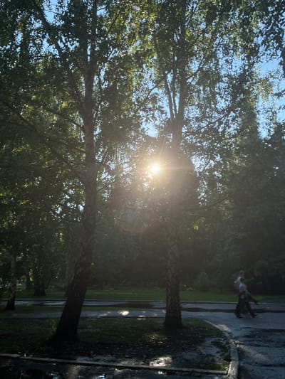 This media file captures a sun-drenched park scene in Karagaiskii, Russia. The dominant subjects are two mature trees with lush green foliage, their branches reaching towards the bright blue sky. Sunlight beams intensely through the leaves, creating a lens flare effect that adds a sense of warmth and natural beauty to the image. The ground below appears to be a paved pathway, possibly wet, reflecting the dappled sunlight and the surrounding greenery. In the background, a few people are visible, appearing small in the frame, suggesting the scene is a public park or a similar outdoor recreational area. One individual, a person in a light-colored top and dark trousers, is walking or standing, while another figure is partially obscured. The overall impression is one of a pleasant, perhaps late afternoon, day with clear skies and a gentle, diffused light. The wet pavement hints that it might have recently rained or that there's an irrigation system. The scene evokes a feeling of tranquility and a connection with nature. There is no visible text in the image.
