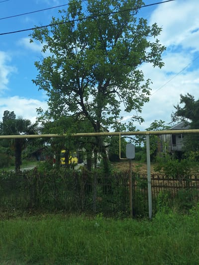 The image depicts a street scene in Nigvzianis Temi, Georgia, under a bright blue sky with scattered white clouds. A large tree with lush green foliage dominates the center of the frame, its branches reaching towards the sky. In the mid-ground, a yellow van is visible behind a dense hedge. A yellow pipe, likely for utilities, runs horizontally across the image, supported by posts. A gray utility box is attached to one of these posts. Behind the hedge and the pipe, a rustic, weathered building with a gray roof stands. The foreground consists of tall, green grass. The overall impression is a rural or semi-rural setting, possibly a residential area, with a mix of natural elements and man-made infrastructure.
