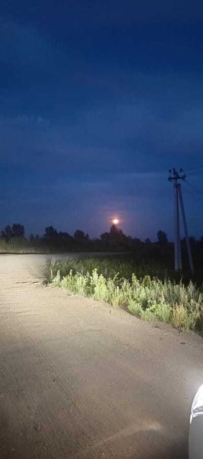 An outdoor, vertical, nighttime photograph captures a dirt road leading into a rural landscape, likely near Bet'ki, Russia. The sky is a deep, dark blue with thin, wispy clouds. A pale, reddish moon is visible in the upper-middle section of the image, partially obscured by trees. A lone utility pole with wires stands on the right side of the frame, silhouetted against the sky. The road itself is light brown and appears to be dusty, with tire tracks visible. On the left and right sides of the road, tall, dry grass and vegetation are illuminated by what appears to be the headlights of a vehicle, casting a bright glow on the ground and the plants. The overall scene suggests a quiet, remote location at dusk or after sunset.