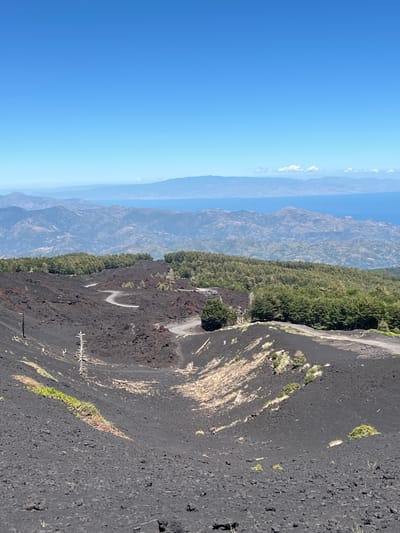 The image captures a panoramic view from a volcanic landscape, likely Mount Etna, near Linguaglossa, Italy. The foreground is dominated by dark, volcanic ash and rock formations, with sparse, dry vegetation and a few desiccated trees scattered across the slopes. A winding dirt road snakes through the ash field, disappearing into the middle ground. Beyond the volcanic terrain, a dense green forest covers the lower slopes of the volcano. In the distance, layers of mountains recede into a hazy blue, and a body of water, presumably the Ionian Sea, is visible under a clear, bright blue sky with a few scattered white clouds. The scene depicts a rugged, natural environment characterized by volcanic geology and transitional vegetation zones.