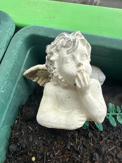 A close-up, overhead shot shows a weathered, white cherub statue lying on its back in a dark soil mixture within a green plastic planter. The statue is facing upwards, with its head tilted to the left and its arms raised, one hand touching its forehead. The cherub's face is detailed, with curls sculpted into its hair, and the paint is chipped and aged, revealing a darker material underneath. One small, light-colored wing is visible extending from its back, also showing signs of wear. Behind the cherub's head, a small, light-colored snail shell is partially visible.

To the left of the statue and planter, a vibrant, lime-green surface is seen, which appears to be another part of the planter or an adjacent object. The soil is dark and appears moist, with small bits of wood, twigs, and dark pebbles scattered throughout. A few artificial green leaves from a plant are emerging from the soil in the upper right portion of the frame, adding a touch of contrasting color.

The overall impression is one of neglect or abandonment, with the cherub statue appearing to rest or slumber amongst the soil. There are no indications of the time of day or weather, but the natural lighting suggests it is daytime. The setting is likely an outdoor garden or patio. No text is visible in the image.