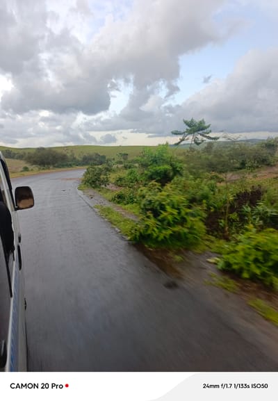 The image depicts a road winding through a lush, green landscape under a cloudy sky. The road appears wet, suggesting recent rain, and is bordered by dense vegetation. A portion of a vehicle, likely a van, is visible on the left side of the frame, with its side mirror reflecting the surroundings. In the background, rolling hills covered in grass and scattered trees can be seen. A lone tree with an unusual shape stands out against the sky. The scene is captured from a moving vehicle, indicated by the motion blur in the foreground and the perspective. The text at the bottom of the image suggests the photograph was taken with a CAMON 20 Pro camera, with settings of 24mm f/1.7 1/133s ISO50. The location is identified as Nguroje, Nigeria.