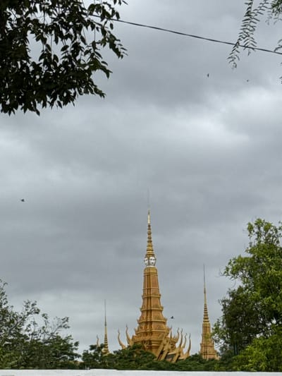 The image depicts a view of a golden Buddhist temple in Khan Daun Penh, Cambodia, under a cloudy sky. Several spires of the temple, adorned with intricate designs and some topped with faces, are visible above a line of lush green trees. One prominent spire in the center is taller than the others and features multiple faces. Smaller spires are interspersed among the trees. The foreground is partially obscured by the dense foliage of trees, with dark leaves framing the top and right sides of the image. A power line stretches across the upper portion of the frame. A few birds are captured in flight against the overcast sky. A white wall is visible at the bottom of the image, separating the viewer from the temple grounds.