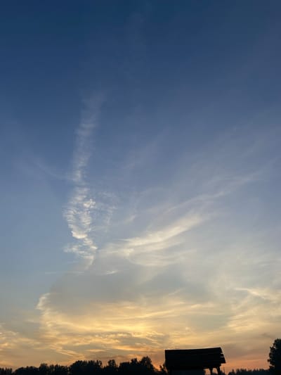 This is a vertical, eye-level, outdoor, medium shot of a silhouetted wooden structure, possibly a bench, on a slight incline of land, against a backdrop of a sunset and sky. The structure is dark and angular, with a curved top. Behind it, a dark, silhouetted line of trees runs horizontally across the lower portion of the image. The sky above is a gradient of colors, transitioning from deep blue at the top to shades of yellow and orange near the horizon, indicating a sunset or sunrise. Wispy, white clouds are scattered across the sky, with some catching the light of the setting sun. The overall scene is serene and natural. The location is in Peshcherka, Russia. There are no people or animals visible in the image.