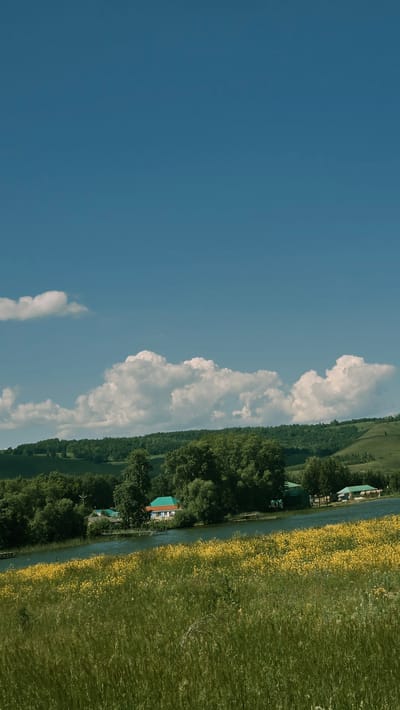 The image depicts a serene landscape under a clear blue sky with fluffy white clouds. In the foreground, a field of tall green grass transitions into a vibrant expanse of yellow wildflowers. A calm body of water, possibly a lake or river, lies beyond the wildflowers. Along the water's edge, nestled among lush green trees, are several buildings with colorful roofs, suggesting a small settlement or resort. In the distance, rolling hills covered in dense forests complete the picturesque scene. The location is identified as the city of Pobeda, Russia, implying a rural or semi-rural setting. There are no people or animals visible in the image, and no specific actions or interactions are occurring. The environment is natural and peaceful.
