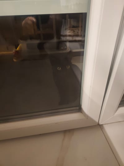 A black cat with yellow eyes is peeking through a glass door. The cat's face is visible, with its eyes wide open and looking directly at the camera. The background is dark and blurry, but it appears to be an indoor setting. The glass door is framed by white molding, and the floor is tiled. A reflection of a person's arm is visible in the upper left portion of the glass. The scene is likely captured inside a residence in Neapoli Municipal Unit, Greece, given the context.