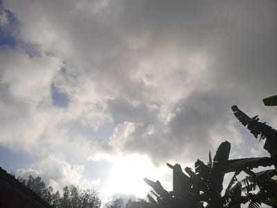An upward perspective reveals a sky dominated by thick, gray clouds, partially obscuring the sun. Patches of blue sky peek through the cloud cover in the upper left. Silhouetted against the bright sunlight are the dark, spiky leaves of banana trees in the lower right. Below the trees, the tops of other trees and a building roof are visible.