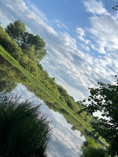 The image depicts a serene natural landscape at the edge of a body of water, likely a river or lake, in the vicinity of Чыркавіцкі сельскі Савет, Belarus. The scene is characterized by lush green vegetation lining the bank, with tall trees and dense foliage dominating the upper portion of the frame. The water's surface acts as a mirror, reflecting the trees, sky, and clouds, creating a symmetrical and tranquil effect. Wispy clouds stretch across a bright blue sky, suggesting fair weather. In the foreground, blades of tall grass, some with visible dew droplets, are prominent, adding texture and depth to the composition. The overall impression is one of a peaceful, undisturbed natural environment.