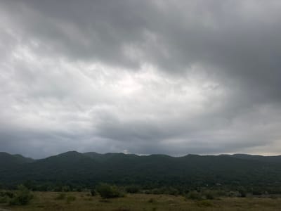 The image depicts a wide, horizontal landscape view of rolling, heavily forested mountains under a dramatic, overcast sky. The foreground consists of a grassy, uneven terrain with scattered bushes and some taller trees. The mountains dominate the mid-ground, their dark green, textured surfaces stretching across the horizon. The sky is filled with thick, gray clouds, with a slightly brighter area suggesting diffuse sunlight breaking through. The scene is devoid of any visible human presence or activity. The location is identified as Aragvispiri, Georgia.