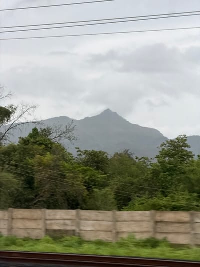 A horizontal, eye-level shot captures a natural landscape with a mountain range in the distance, viewed from a moving vehicle, possibly a train given the tracks at the bottom. The sky is overcast and gray. Three parallel power lines stretch horizontally across the upper portion of the image.
In the mid-ground, a dense line of green trees and foliage forms a barrier. Some of the trees are bare and skeletal, contrasting with the lush greenery. Behind the trees, the imposing mountain range dominates the background. The mountains are covered in a muted green and brown, with their peaks shrouded in mist or clouds, making them appear hazy and distant.
In the foreground, a concrete barrier, likely a retaining wall or a boundary fence, runs horizontally across the image. This barrier is composed of rectangular concrete segments. Below the barrier, a strip of vibrant green grass and other vegetation is visible. At the very bottom of the frame, a section of railway tracks, dark brown in color, is present, indicating the perspective of the viewer.
The overall impression is a moody, slightly blurred scene of natural scenery as viewed from a journey. The limited visibility of the mountain peaks suggests either distance or inclement weather. The image does not contain any people or any specific identifiable landmarks within Palghar, India.