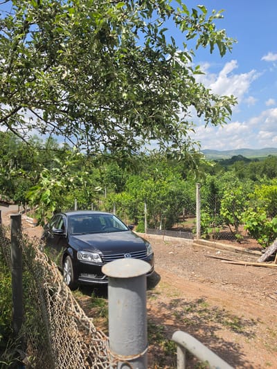 This image captures an outdoor scene in Gigintsi, Bulgaria, under a partially cloudy blue sky. A black Volkswagen Passat sedan is parked on an unpaved reddish-brown dirt and gravel path, positioned with its front facing slightly right of the viewer. The vehicle's front grille, headlights, and Volkswagen emblem are clearly visible. In the foreground, a rusted chain-link fence, supported by a gray metal post, runs diagonally across the lower left. The path is bordered on its right side by a wire mesh fence with concrete posts, behind which is an area of cultivated green trees and vines, indicative of an orchard or vineyard. Dense green foliage from several trees, including a large overhanging tree in the upper portion of the frame, frames the scene. In the distant background, rolling green hills and mountains are visible under the sky dotted with white cumulus clouds. No people are present.