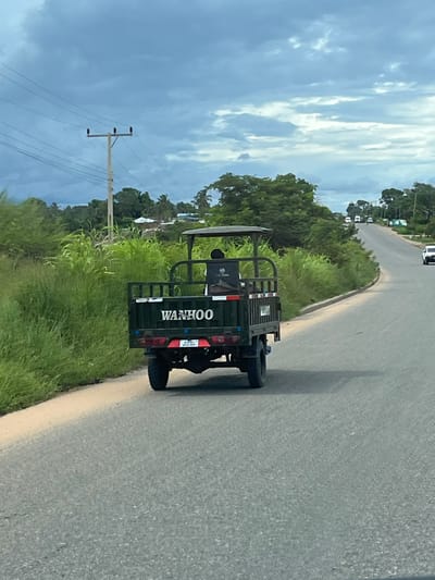 The image captures a road scene in Muxara, Mozambique, under an overcast sky. A dark green, three-wheeled motorized cargo vehicle, with "WANHOO" printed in white on its tailgate, travels away from the viewer on an asphalt road. A lone individual, wearing a dark shirt, occupies the driver's seat, facing forward. The vehicle displays a partially legible license plate beginning with "AA" and features red and white reflective markings on its rear. The road, which appears to be two-lane, has a light-colored shoulder on the left and gently curves and ascends into the distance. Lush, tall green vegetation, including grass and trees, lines both sides of the road. A utility pole with multiple power lines is visible on the left side of the frame. In the background, several vehicles are present on the road, and distant residential structures are partially visible through the trees.