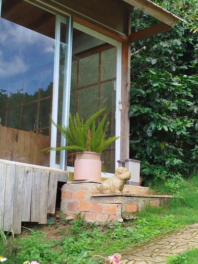 This is a medium shot, eye-level, outdoor, daytime photograph of a building with a glass sliding door and a small dog statue. The building appears to be made of wood and glass, with a dark brown wooden overhang. Inside the building, a large potted fern is visible through the glass. To the right of the building, there is a dense wall of green foliage, likely trees or bushes. In front of the building, a small, light-colored dog statue is placed on a brick platform. The ground in front of the platform is covered in green grass and some small white and pink flowers. The overall setting suggests a rural or semi-rural environment, possibly a residential property or a small cafe, given the presence of the building and the natural surroundings. The location is specified as being in the city of Trường An, Vietnam.