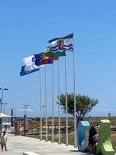 The image depicts a bright, sunny day in Conil de la Frontera, Spain, with a clear blue sky serving as the backdrop. Several flags are prominently displayed on tall white poles, fluttering in the breeze. The flags appear to be of different designs and possibly represent various entities or regions. In the foreground, a paved walkway is visible, with a few individuals walking and standing. To the left of the walkway, a small kiosk-like structure is present. Further in the background, there is a wooden boardwalk and a sparse, dry landscape with some trees and distant structures. The overall scene suggests an outdoor recreational area or a public space with international or regional representation.