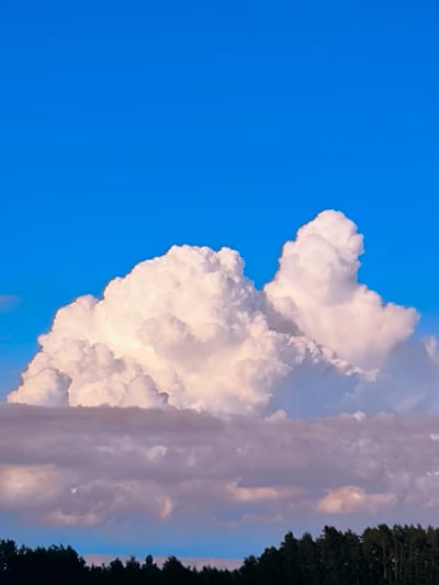 The image captures a vibrant blue sky filled with dramatic, white cumulus clouds. These clouds are illuminated by the sun, casting shadows and creating a sense of depth and texture. Below the large cumulus formations, a layer of darker, more diffuse clouds stretches across the horizon, tinged with purple and pink hues. The lower portion of the image shows a dense line of dark green trees, silhouetted against the sky, suggesting a forested landscape. The scene evokes a sense of nature's grandeur, with the sky and clouds dominating the composition. The photograph appears to be taken outdoors, likely in a rural or semi-rural setting given the prominent tree line. There is no indication of any urban environment or specific landmarks within Vētras, Latvia, or any other city. The image is a landscape photograph focusing solely on natural elements.