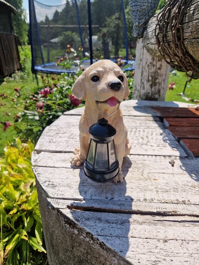 The media file captures a close-up, sideways view of a garden ornament shaped like a light-colored dog holding a lantern. The dog ornament has black eyes and a pink tongue sticking out, giving it a playful appearance. It is positioned on a weathered, light-colored wooden surface, possibly a table or bench, which shows signs of age with peeling paint and cracks. Behind the ornament, the background reveals a vibrant garden scene. Lush green grass and various plants, including some with pink flowers, are visible. In the mid-ground, a blue trampoline with a black net is set up in the yard, and a wooden structure, possibly a shed or playhouse, can be seen further back. The scene is illuminated by bright sunlight, casting distinct shadows from the ornament and the surrounding elements, suggesting it is daytime on a clear day. The overall setting appears to be a residential backyard in a rural or suburban environment. There is no visible text in the media file. The location context provided is Rikava, Latvia.