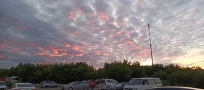 This is a landscape photo taken in Dorokhovo, Russia, depicting a cloudy sky during sunset. The sky is filled with a mix of gray and pink clouds, with the pink hues suggesting the sun is low on the horizon. The clouds are textured and appear to be altocumulus or stratocumulus formations.
In the foreground, a parking lot is visible with several cars parked. These include a silver sedan, a red hatchback, a white minivan, and other vehicles partially visible. Behind the cars, a line of dense green trees forms the horizon. To the right of the frame, a tall cell tower stands prominently against the sky. The overall scene suggests a relatively ordinary day, possibly late afternoon or early evening, with the sunset adding a dramatic and colorful element to the sky. There are no people clearly visible in the scene. The setting appears to be a public area, possibly a parking lot near a commercial or residential zone, given the presence of cars and the cell tower.